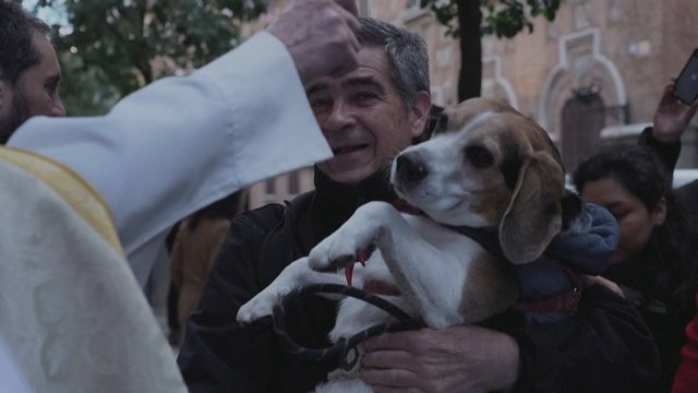 Bažnyčias lanko ne tik žmonės: Madride katalikų maldos namus užplūdo gyvūnai
