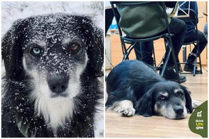 Tobula miestietė ieško ypatingų namų: įspėja – uždarius duris pabunda „kita“ Ufa