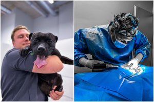 Pastebėjote šunį šlubuojant? Nedelskite: viena priežasčių yra labai skausminga, o kita – mirtinai pavojinga