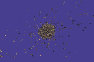 Į vieną iš planetų galima nukeliauti jau dabar. Verta pabandyti!