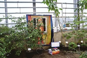 Virsmas: šilumą skleisti gali ir šaldytuvas