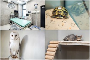 Pasižvalgykite: iškilmingai atidarytas vienintelis Lietuvoje Laukinių gyvūnų globos centras