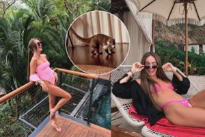 Pirmą rytą egzotiškoje Meksikoje V. Siegel sulaukė netikėto svečio: sekėjai neteko žado