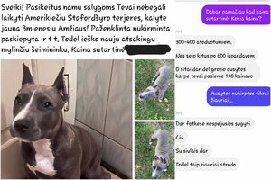 VMVT šuns sužalojimą matė, o kaltų – ne: įsitraukus Lietuvos policijai, situacija pasisuko kitaip