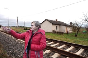 Genė namuose šviežiai susimūrijo židinį, išsiasfaltavo kelią į kiemą, o dabar dreba – namuką ketina griauti 