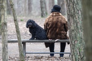 Žino, ko reikia, kad senjorai geriau gyventų: tai įgyvendinus, pensijos Lietuvoje padvigubėtų