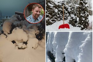 Jei po šios nakties dar norite išgelbėti augalus savo kieme, nedelskite: siūlo nepamiršti ir vejos