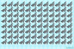 Pamankštinkite akis: kuris vilkas skiriasi nuo kitų?