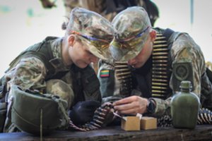 TS-LKD prezidiumas patvirtino Lietuvos gynybos stiprinimo planą: siūlo įvesti visuotinį šaukimą, pasienyje įrengti fortifikacijas