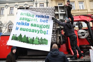 Miškininkai – protestuoja, o medienos perdirbėjai vos tramdo paniką: tokios situacijos dar nėra buvę