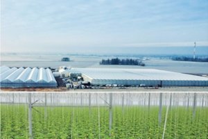 O jau galvojo, kad blogiau būti nebegali: šokiruojantis akcizo pakėlimas skandina ir stambiausius