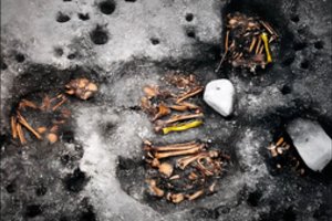 Aptiko seniausius pasaulyje „sifilio giminaičio“ pėdsakus