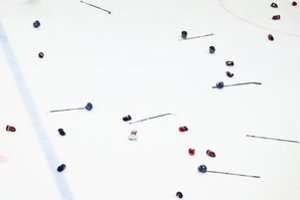 Klaipėda uždegė žalią šviesą ledo arenos atsiradimui uostamiestyje