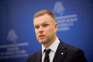 G. Landsbergio atsakas Prezidentūrai: neįsivaizduoju, iš kokio tamsaus rūsio traukia tokius pasvarstymus