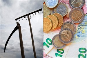 Nustebins ir visko mačiusius: antstoliai areštuoja net dalgius ar akmenis