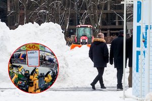 Šios prekės paklausa prekybos tinkluose – milžiniška: sandėliai jau ištuštėjo, todėl laimingi tie, kurie spėjo įsigyti