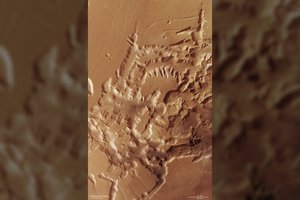 Pasigrožėkite: jį vadina Nakties labirintu