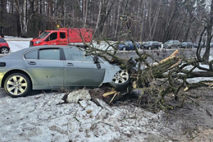 Vilniuje automobilis BMW įsirėžė į medį
