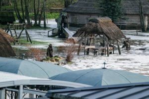 Klaipėdos r. stichinį lygį pasiekęs potvynis jau slūgsta: vanduo spėjo užlieti virš 50 sodybų