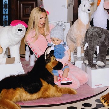 Paris Hilton savo sūnui surengė pasakišką 1-ąjį gimtadienį: namų kieme vaikščiojo tikri gyvūnai