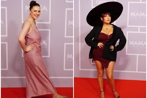 Atlikėjų skandale dėl išvaizdos pribloškė ne tik svetimą kūną komentuojančiųjų grubumas