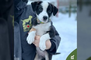 Dviejų mėn. mažylė ieško savo šeimos: tiks tik tiems, kas mylės, nepaisant būsimo ūgio ir svorio