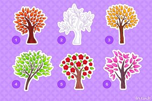 Kuris medis patinka? Štai ką apie jus galvoja aplinkiniai