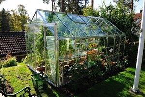 Kiekvieną pavasarį savo kailiu patiriu: „Nė vienas daržininkas neišgyvens be šiltnamio, tik kokio reikia?“