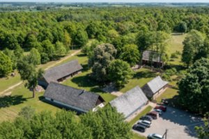 Prasideda medžių „Eurovizija“: konkurse – 200 metų amžiaus Basanavičynės kaštonas