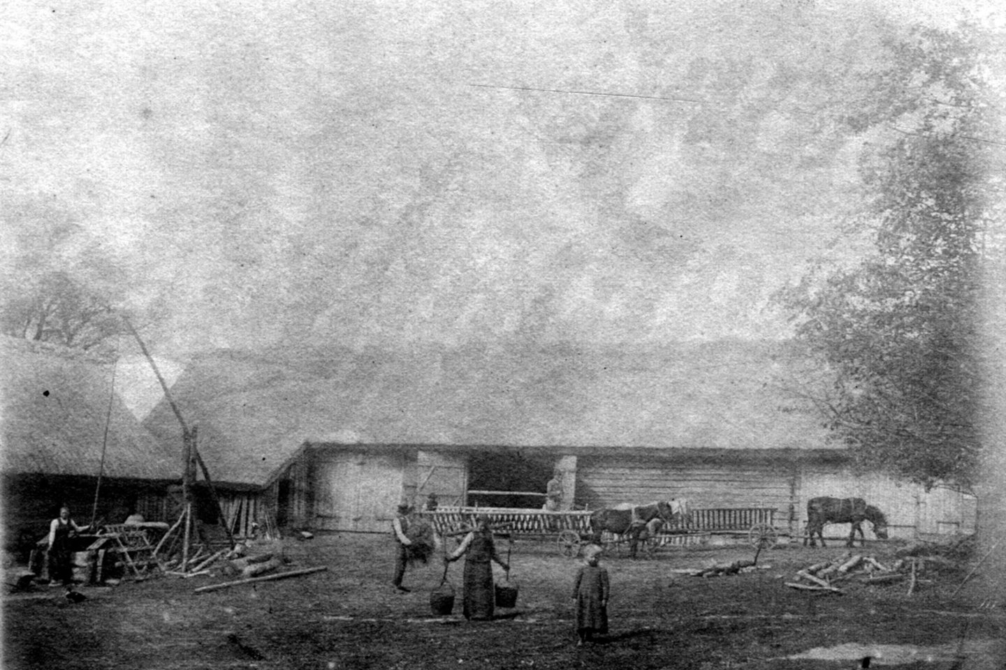 Jono Basanavičiaus 1906 metais darytoje nuotraukose kaštonas jau didelis.<br>LLTI bibliotekos, Jono Basanavičiaus fondo nuotr.