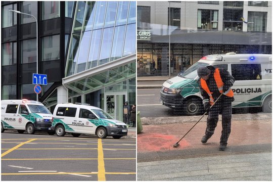 Vilniuje žuvo nuo verslo centro stogo nukritęs vyras