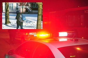 Smurtas Kauno progimnazijoje kelia šiurpą: berniuką sumušę chuliganai perdavė linkėjimus nuo mokytojo