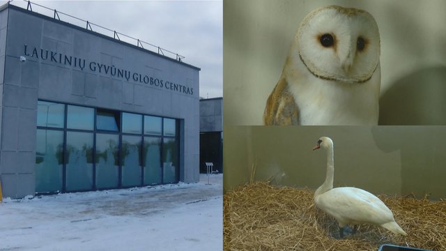 Kaune atidarytas visą parą veikiantis Laukinių gyvūnų globos centras: komplekse – moderniausia įranga