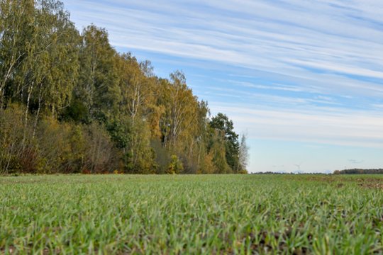 Lietuvos ūkiai keičiasi: net keliasdešimt hektarų gali tapti pragyvenimo šaltiniu, o šeimos ūkiams žadama neeilinė sėkmė