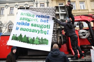Giedrė Šlevinskė. Privačių miškų savininkams vien pažadų neužteks