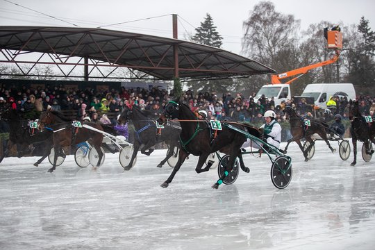 Zarasų rajone praūžė legendinės žirgų lenktynės „SARTAI 2024“<br> O.Gurevičiaus/ELTA nuotr.
