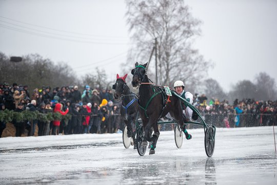  Zarasų rajone praūžė legendinės žirgų lenktynės „SARTAI 2024“<br> O.Gurevičiaus/ELTA nuotr.