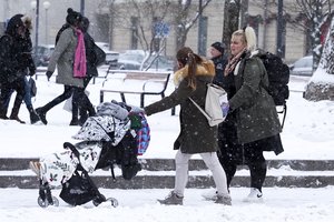 TVF: po švelnaus nuosmukio 2023 metais, šiemet numatomas Lietuvos ekonomikos augimas