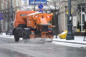 Didžiulius druskos kiekius sostinėje barsčiusiai įmonei savivaldybė grūmoja pirštais: tai galėjo padaryti nepataisomą žalą