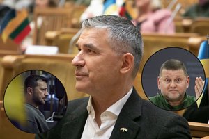 A. Medalinskas – apie V. Zalužno ir V. Zelenskio konflikto šaknis: papasakojo, kaip į viską žiūri ukrainiečiai