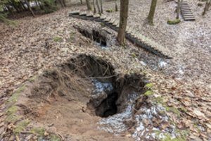 Radinys nustebino ir specialistus: Biržų regioninio parko smegduobėje įsikūrė šikšnosparniai