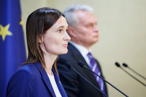 V. Čmilytė-Nielsen linki G. Nausėdai ir G. Landsbergiui išspręsti tarpusavio ginčus: tikiuosi taikos ir susitarimo