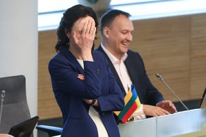 V. Čmilytė-Nielsen apie stadioną: tas projektas atrodo yra užkeiktas, ir kelia tiek šypseną, tiek apgailestavimą