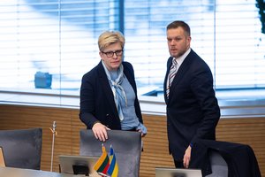 G. Landsbergis įvertino LSDP sprendimą dėl prezidento rinkimų: labai stipriai nesistebiu