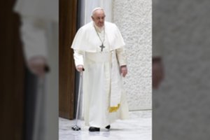 Popiežius „veidmainyste“ vadina kritiką dėl homoseksualių porų laiminimo