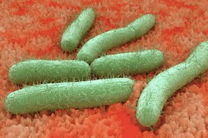 Grėsmingas atradimas: antibiotikams atsparios bakterijos dar pavojingesnės, nei manyta