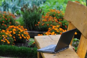 Biuras jūsų sodyboje – misija įmanoma. Kaip iškelti ofisą į gamtą?