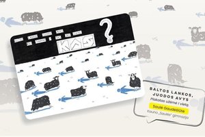 Prasideda Lietuvių kalbos dienos: 2024-ųjų metų didžioji sostinė – Biržai, mažoji – Pertas