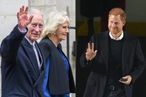 Po susitikimo su vėžiu sergančiu karaliumi Karoliu III – kitoks princo Harry elgesys: įvyko lūžis?