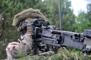 Įspėja dėl finansavimo gynybai didinimo: jei sąžiningai pasidalinsim, visuomenė to tikrai nepajaus